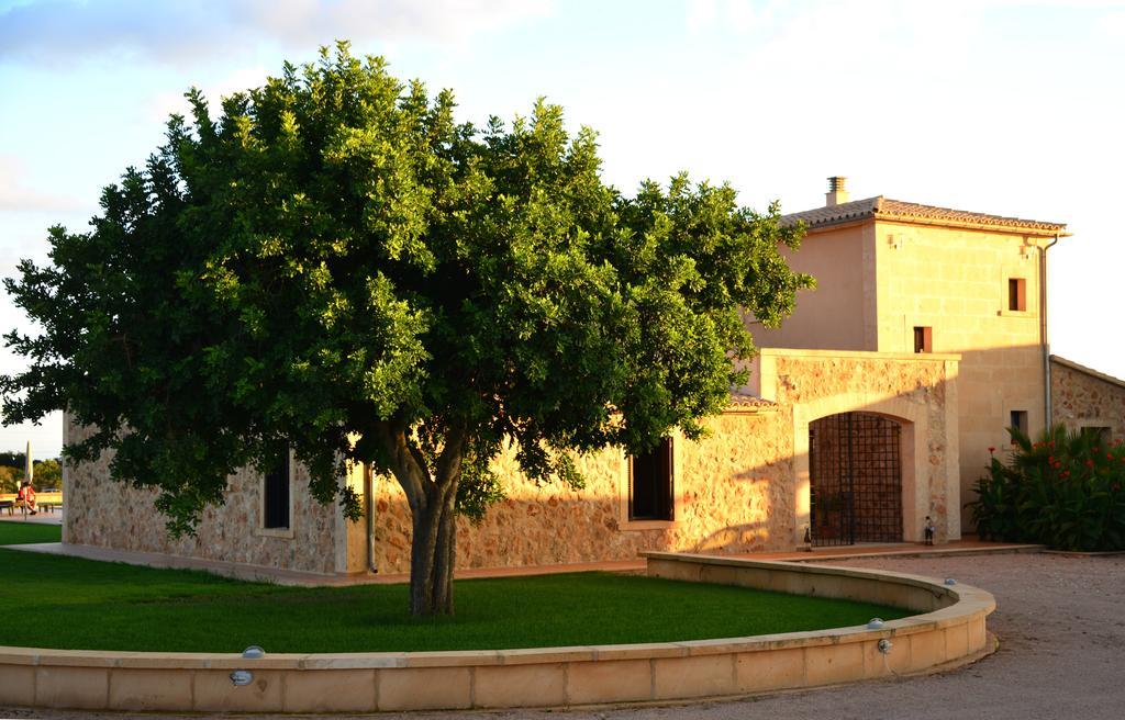 Finca Sol Y Vida - Agroturismo Son Sampoli Hotel Llucmajor  Buitenkant foto